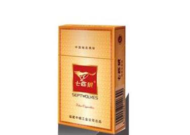 意外烟花视频大全下载